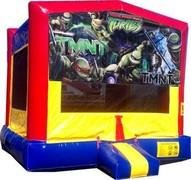 Teenage Mutant Ninja Turtles Wet Combo Teenage Mutant Ninja Turtles Wet Combo